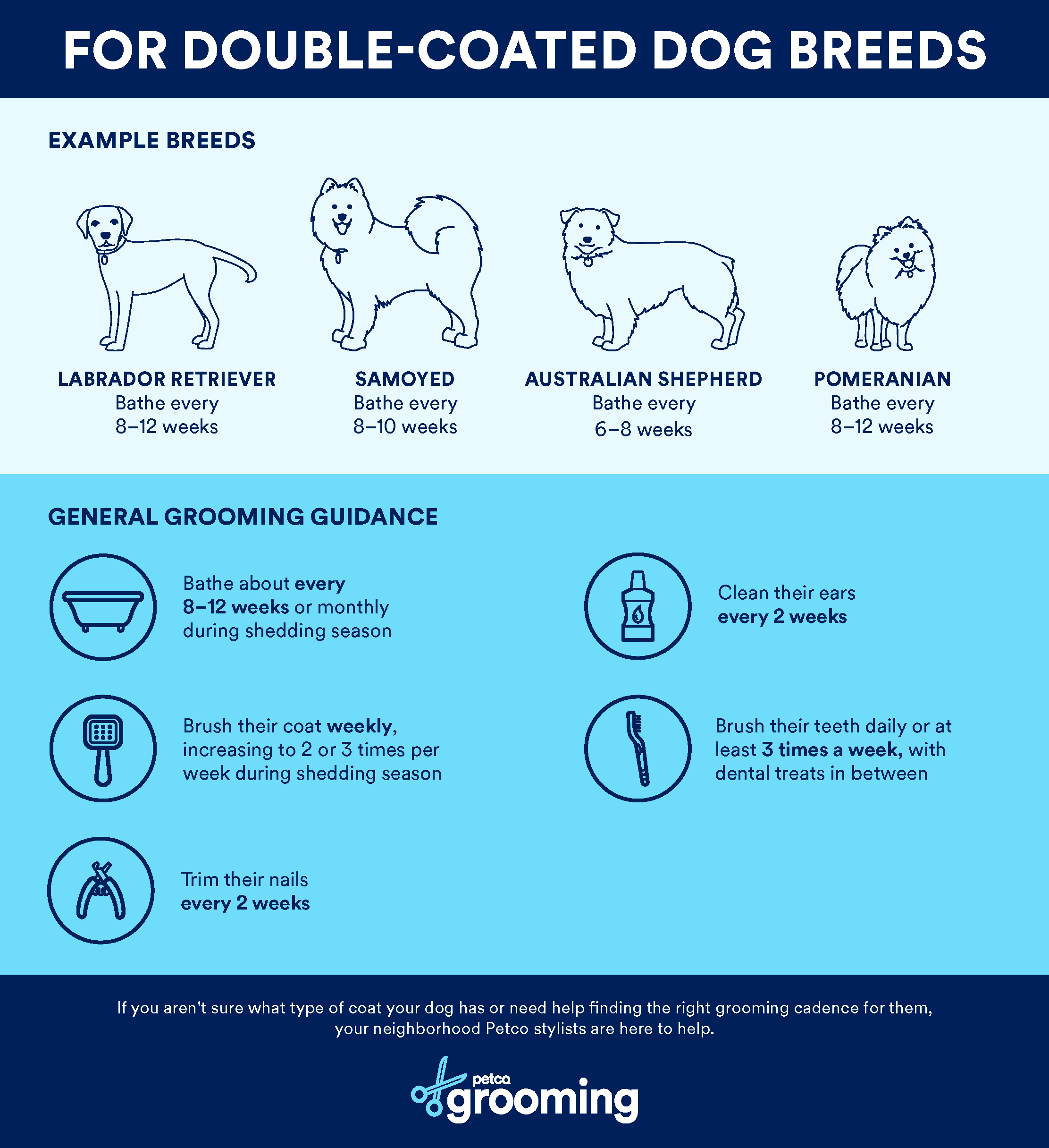 How Often Should You Brush A Shedding Dog For A Healthy Coat?